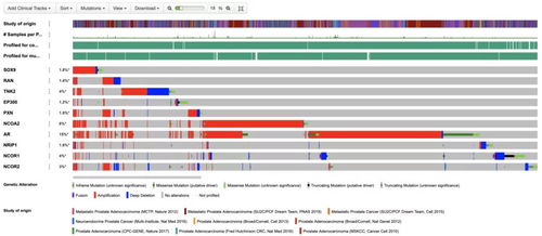 仁東醫(yī)療攜手海計系統(tǒng) 臨床科研助理軟件首發(fā)，一站式解決大數(shù)據(jù)難題
